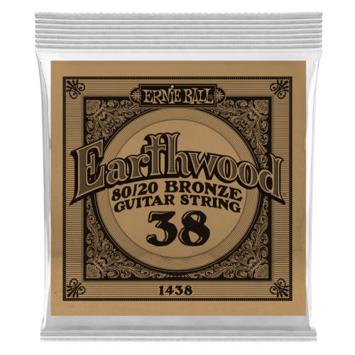 ERNIE BALL P01438